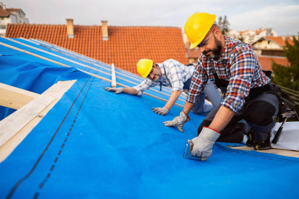 Best Local Roofing Companies  in Marion, IA